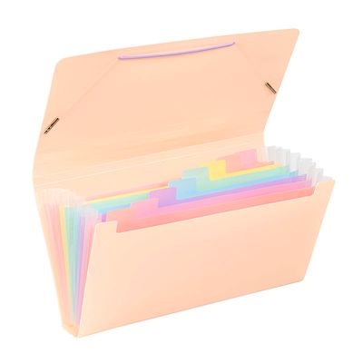 Viquel Rainbow Pastel - Trieur à soufflet - format chèque - disponible en différents coloris