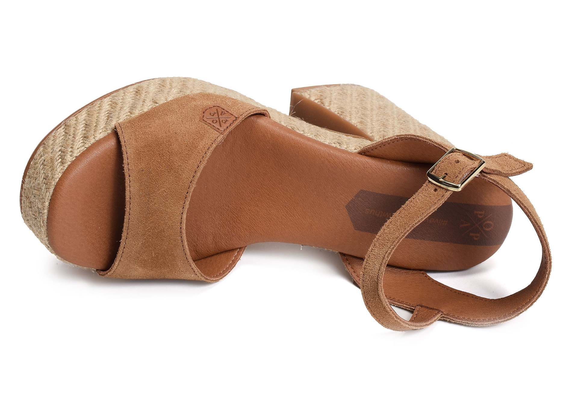Monsul camel