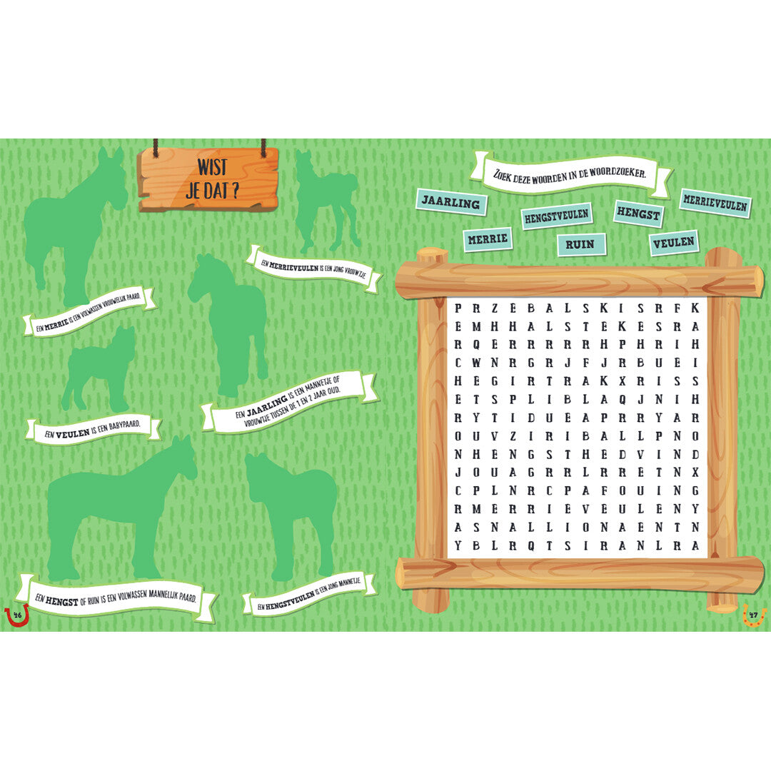 Uitgeverij rebo reuzestickerboek paarden