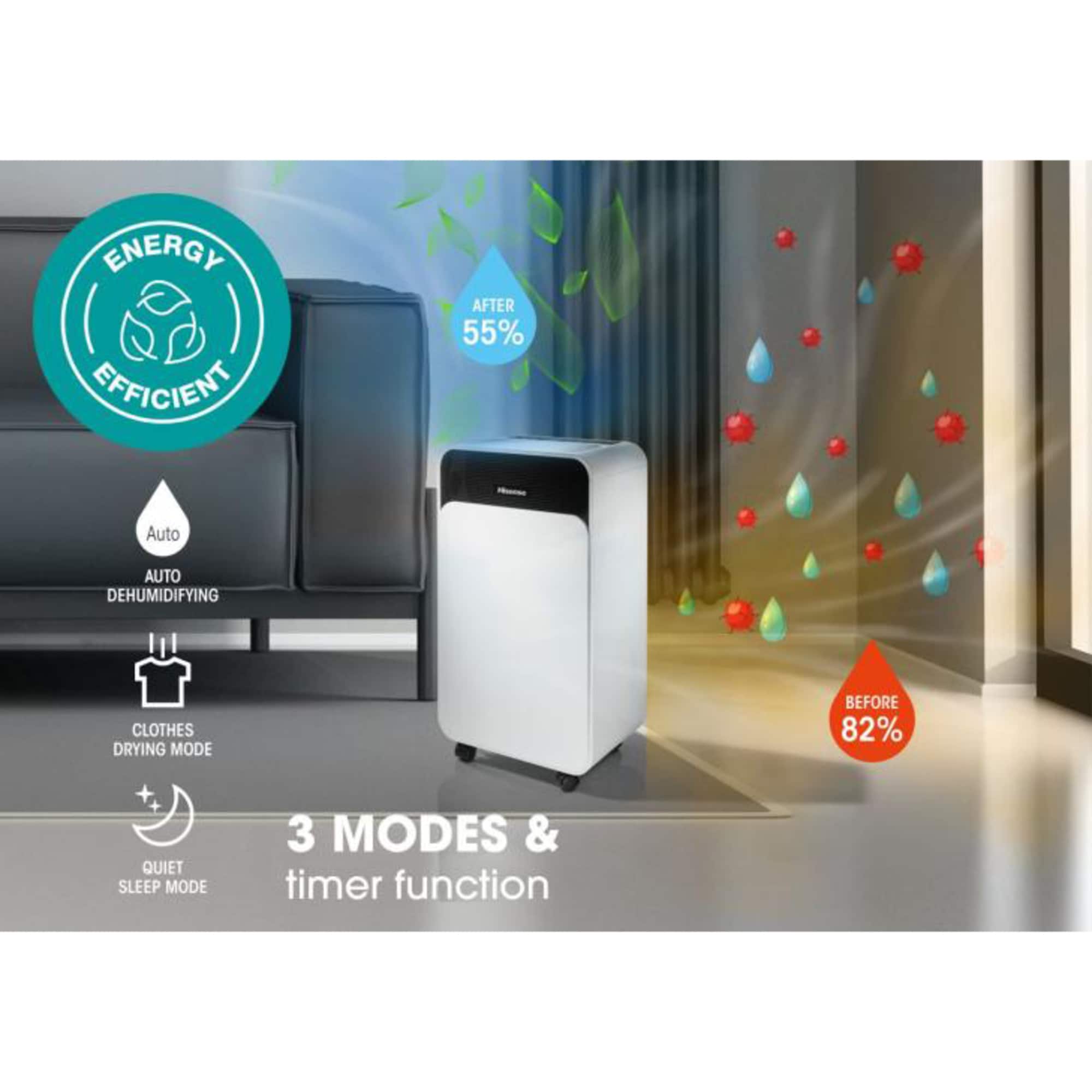 Hisense Luftentfeuchter D12CW