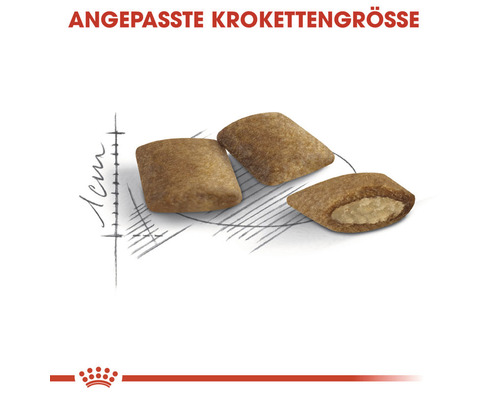 Droog kattenvoer, ROYAL CANIN Ageing +12, 4 kg