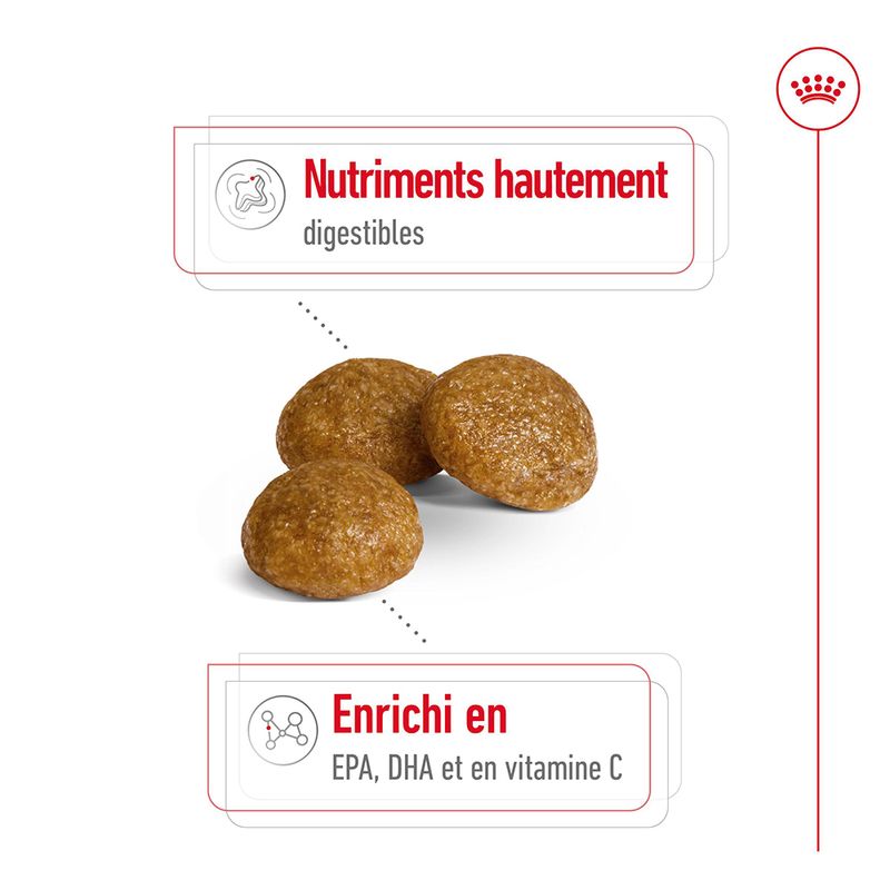 Royal Canin X-Small Adult à prix discount sur bitiba.fr