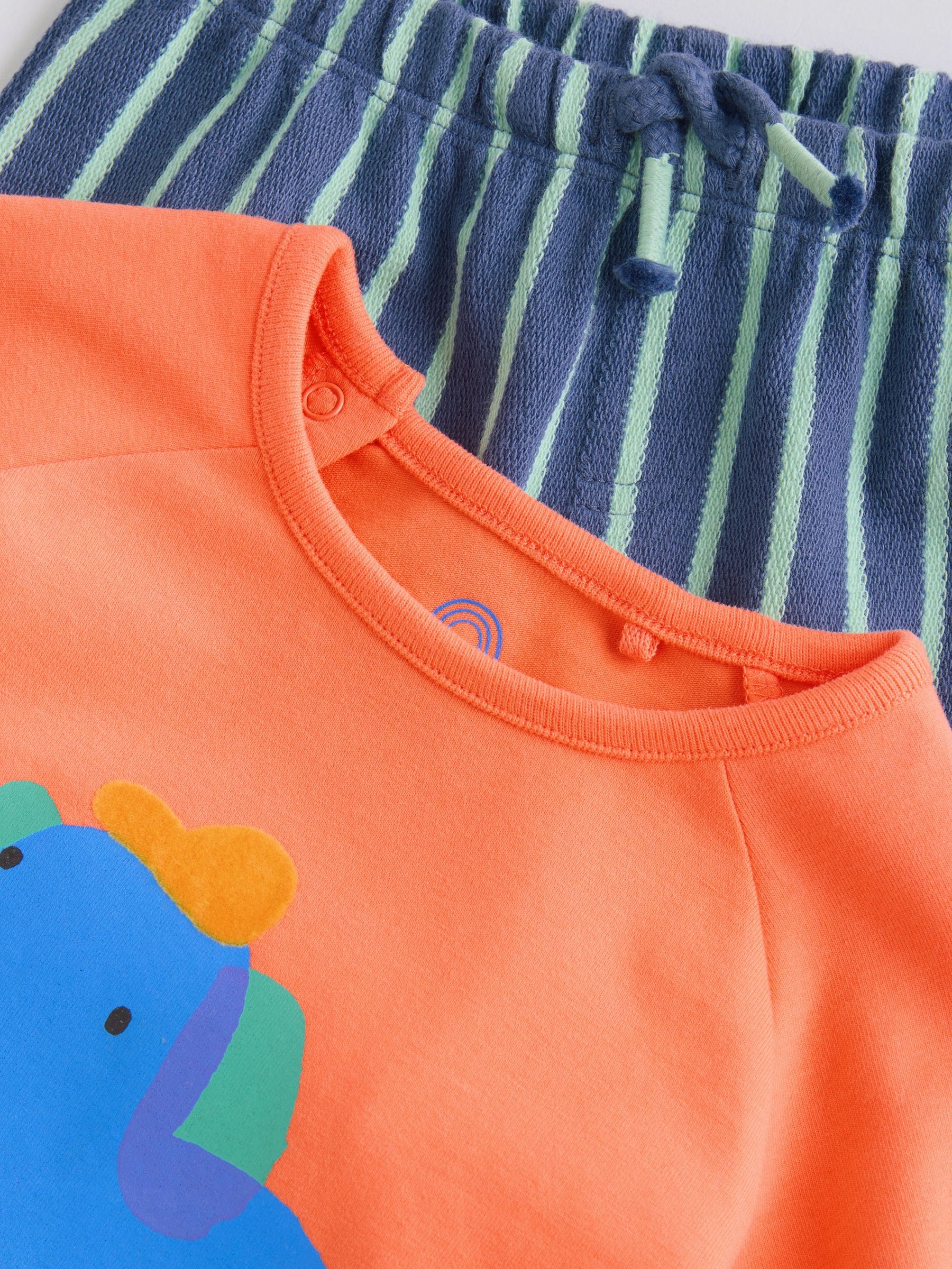Felgekleurd met figuurtjes - Top en Leggings 2 -delige Babyset (0mnd-3jr)