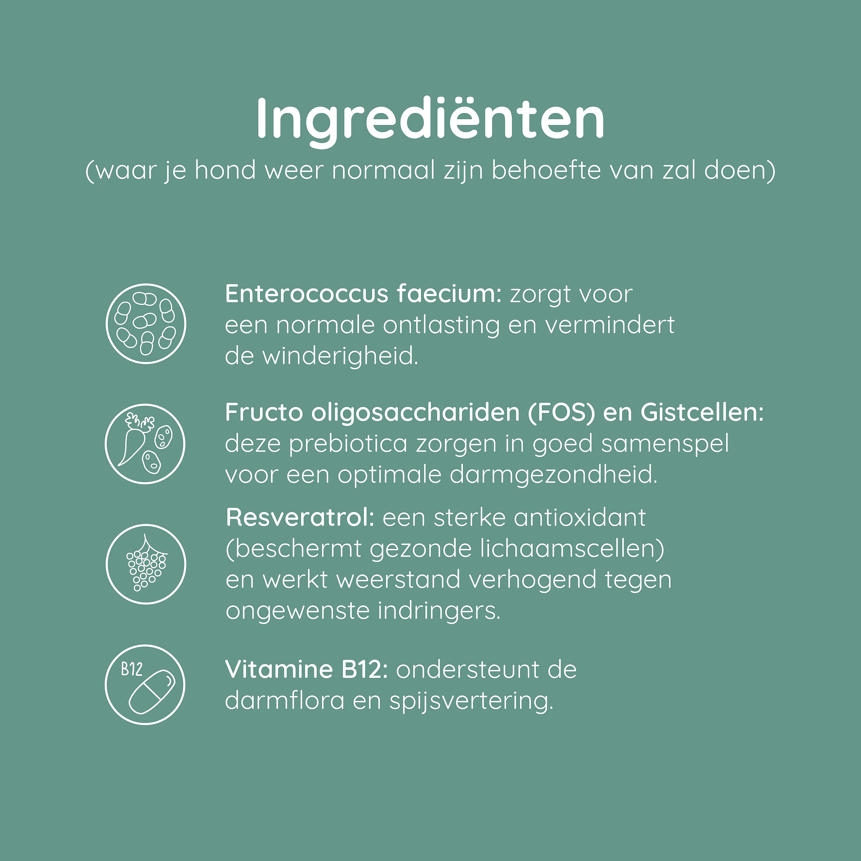 Greenfields Probiotics+ Hond 60 Capsules | 12444
