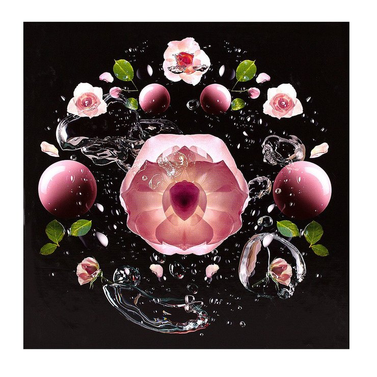 Coffret Noël 2017 Rosa angelica