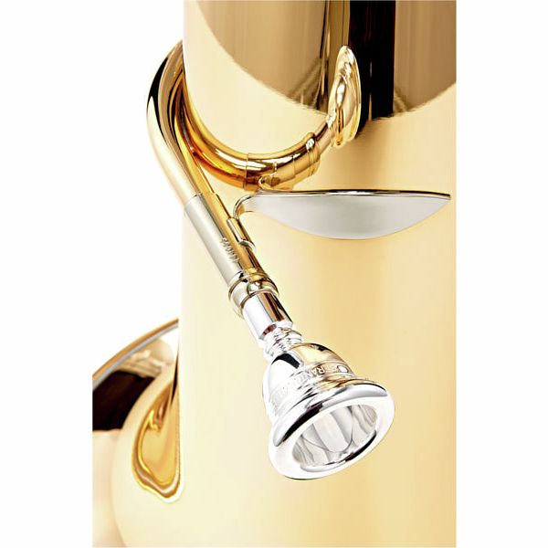 B&S 3100 WG-L Fanny F-Tuba