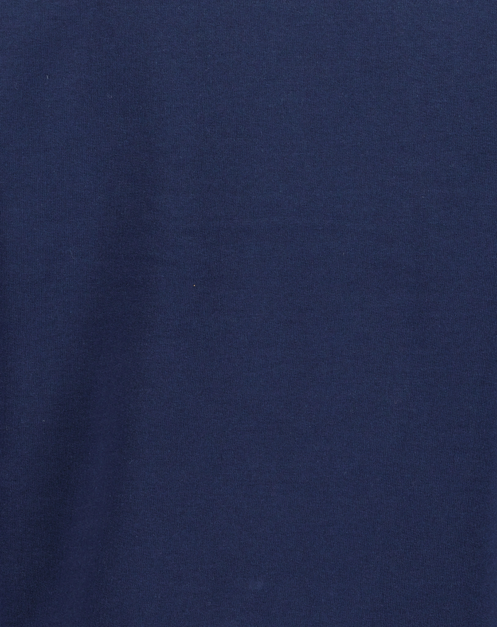 Sweatshirt ROARING DINO in ultramarin