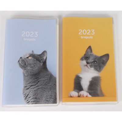 Agenda Interplan Amici - 1 semaine sur 2 pages - 9 x 16 cm - différents modèles disponibles - Brepols