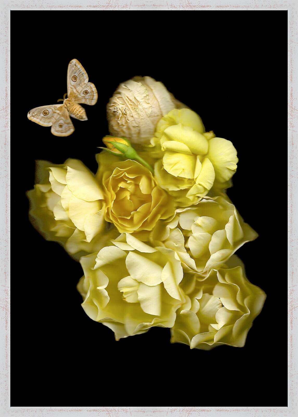 Vanitas IX by Annet van der Voort - Limited Edition. Edition of: 150. Signed.