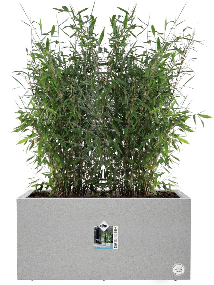 Elho plantenbak Vivo Next grijs 78 x 39 x 37,9 cm
