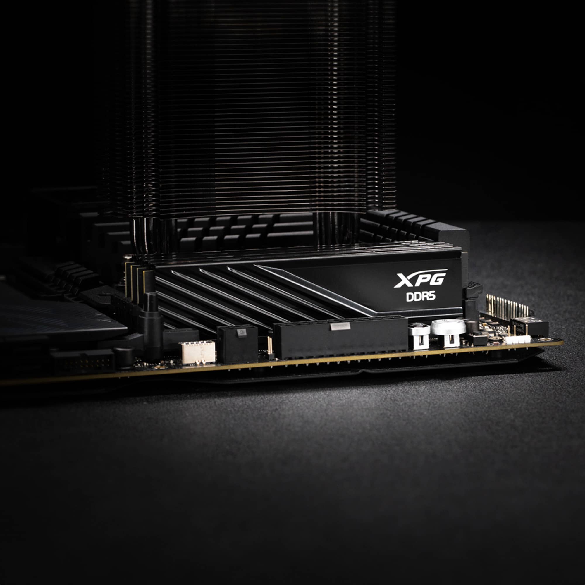 ADATA Arbeitsspeicher DIMM 32 GB DDR5-6000 (2x 16 GB) Dual-Kit