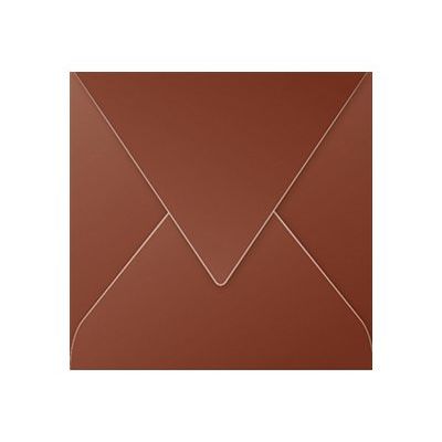 Pollen - 20 Enveloppes - 165 x 165 mm - 120 g/m² - chocolat
