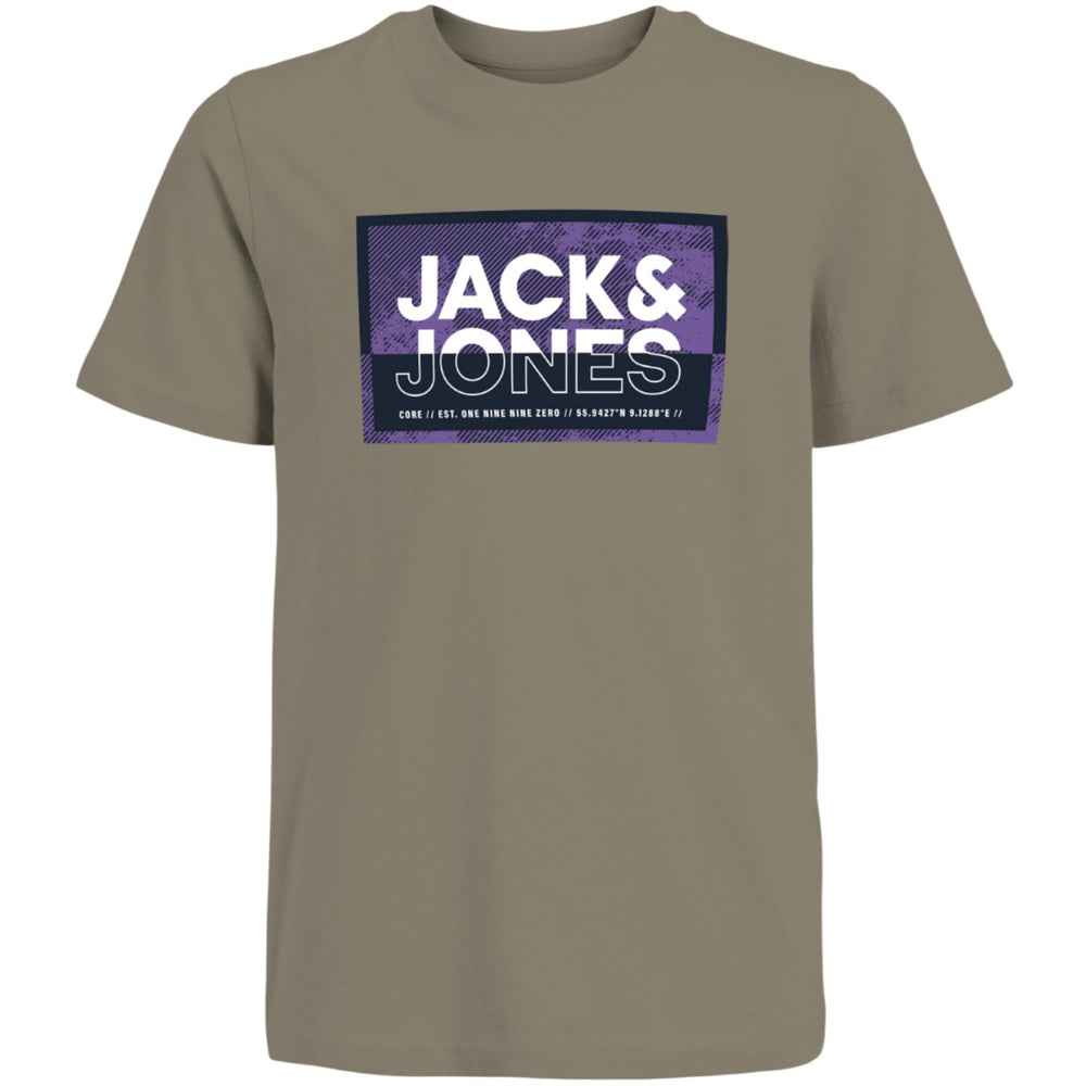 Køb Jack & Jones Junior Silver Sage Cologan T-Shirt Crew Neck