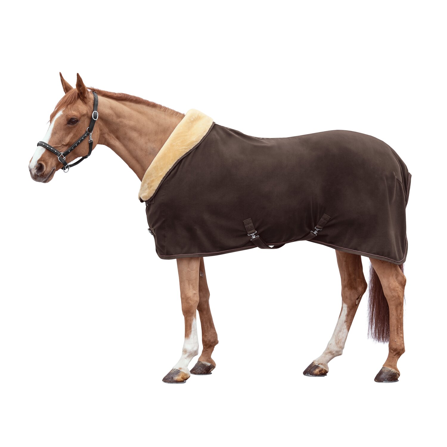 Cheval de Luxe Abschwitzdecke Lae mit Fellkragen  - brown