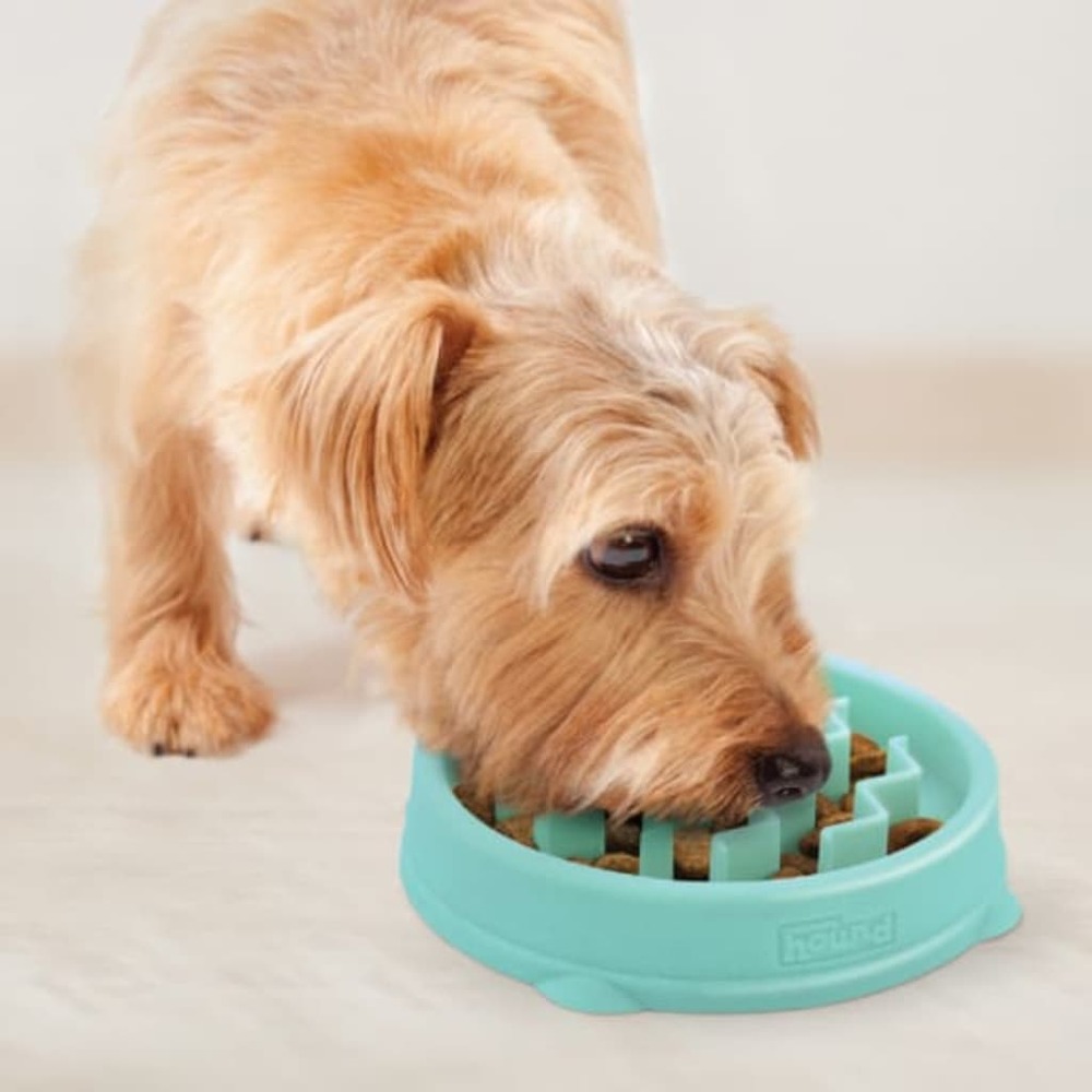 Mangeoire lente pour chiens slo bowl vague xs menthe