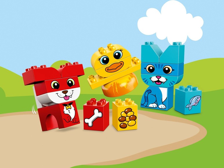 Speelset dierenkleuren