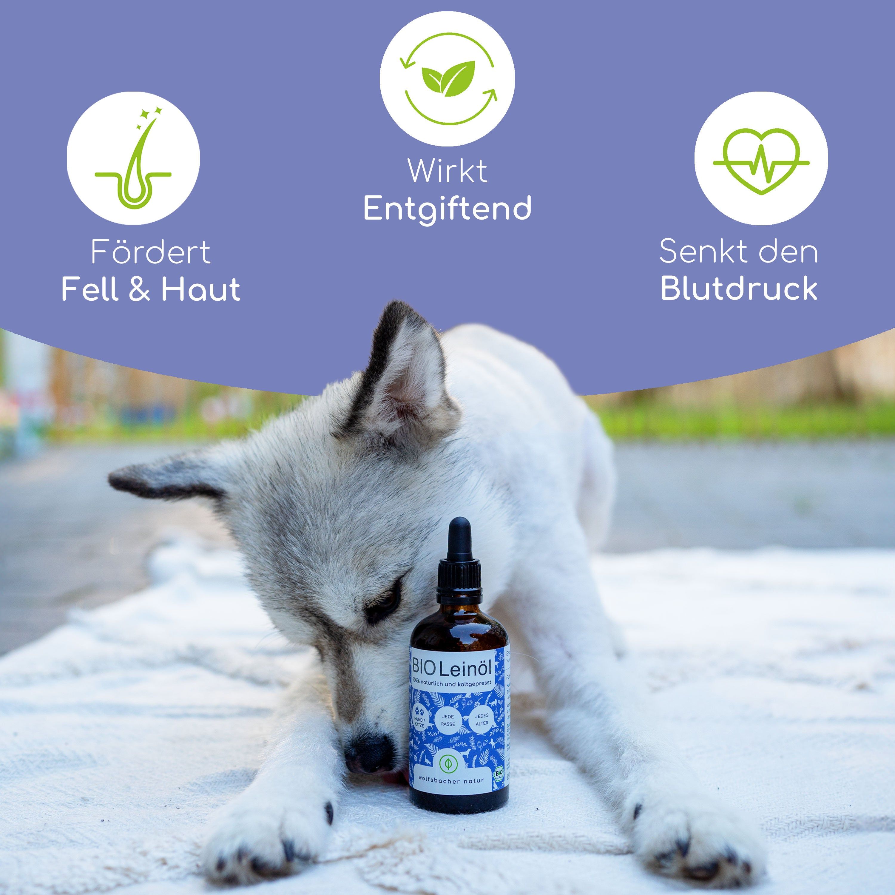 Wolfsbacher Natur Bio Leinöl