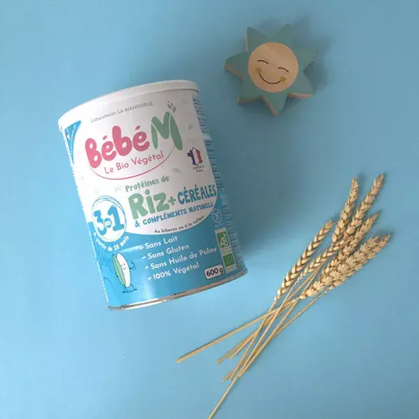 Arroz Baby M 3 em 1, Cereal com Suplemento Proteico +10m Orgânico 600g