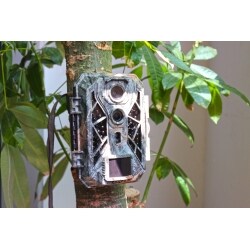BRAUN Scouting Cam Black820 Dual Sensor