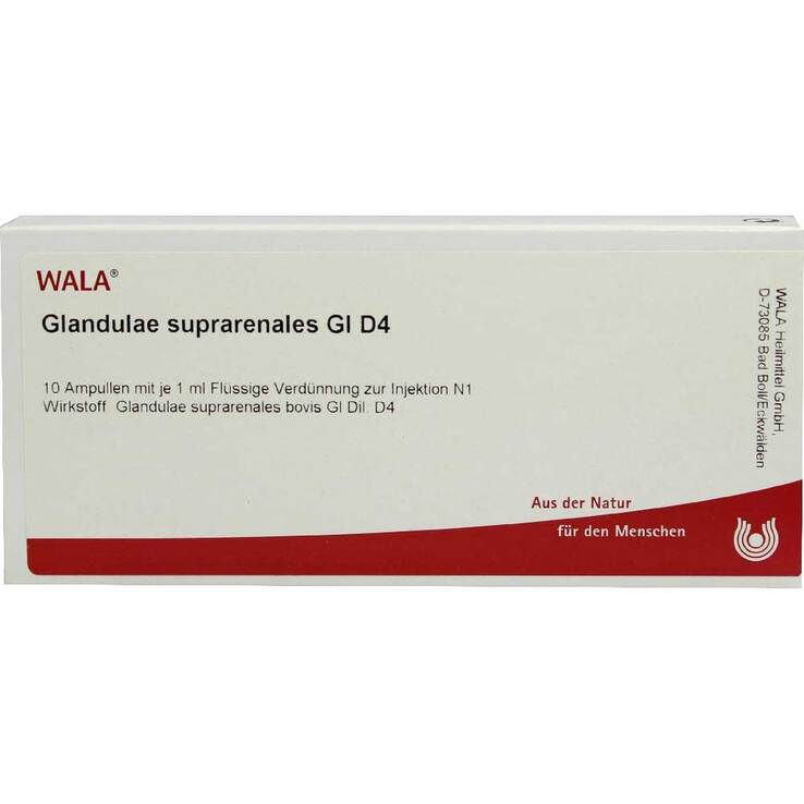 Glandulae suprarenalis GL D 4 Ampullen, 10X1 ml