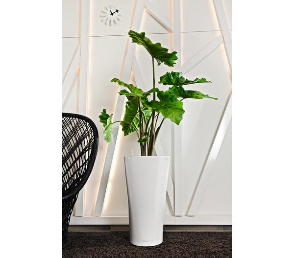 LECHUZA® DELTA, All-in-One-Set