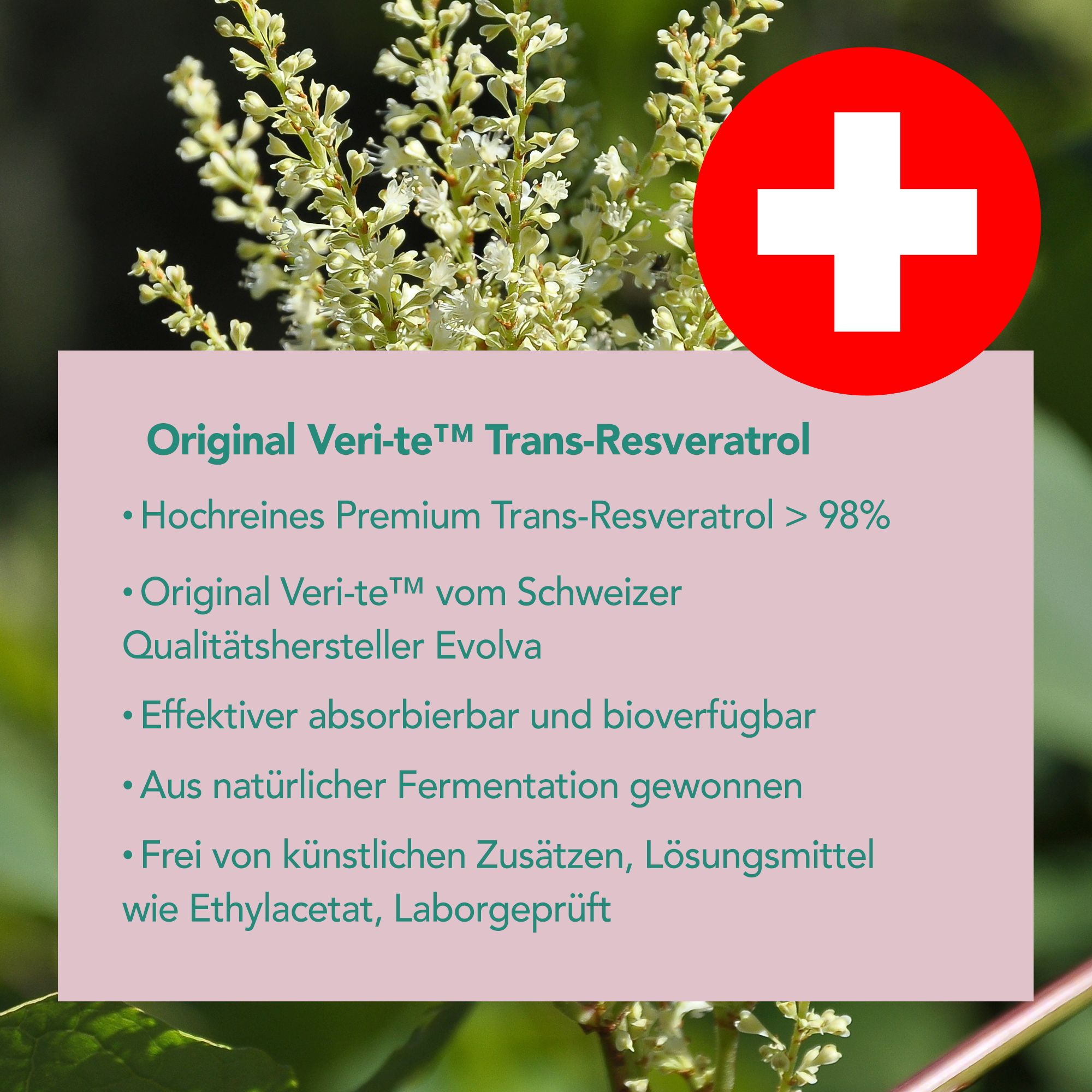 MONO Trans-Resveratrol