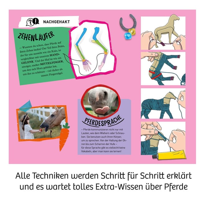 Traum-Pferd - Mitbring-Experimente