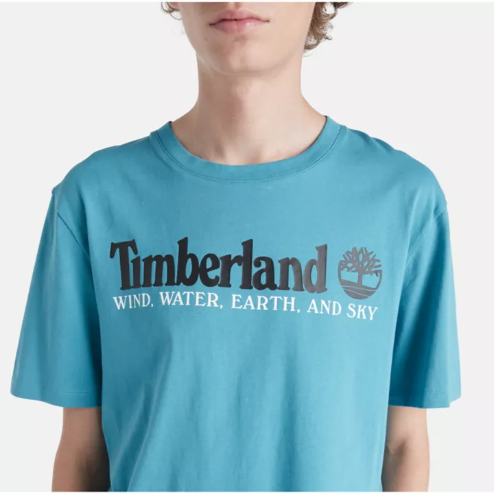 Camiseta masculina azul com estampa de vento, água, terra e céu.