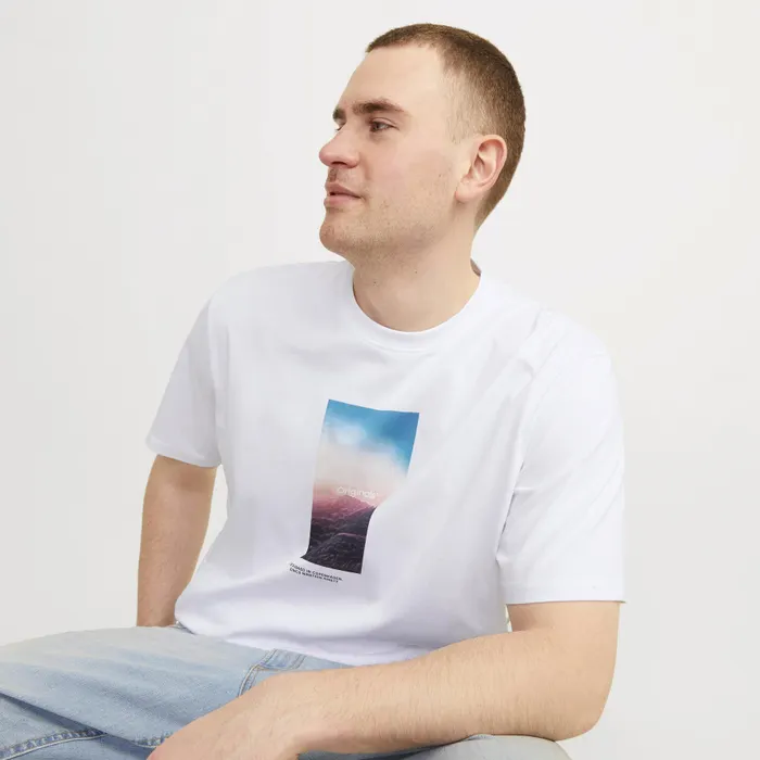 Jack & Jones Vesterbro Picture Shirt Heren (plussize)