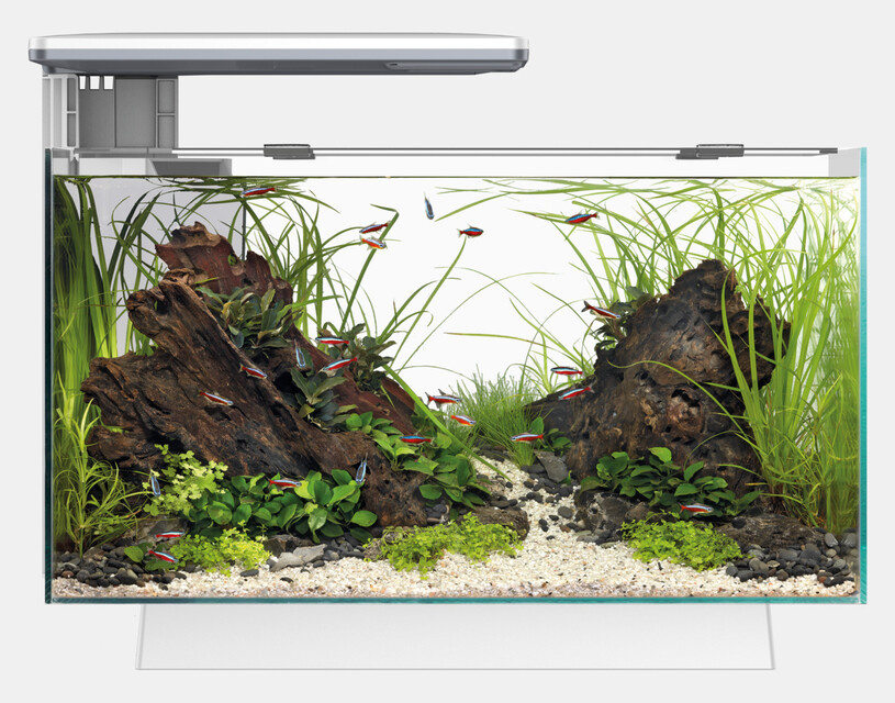 Superfish Aquarium Quadro 40 Pro Wit incl. lamp en filter