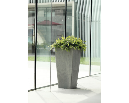 Plantenvaas Lafiora Liam LxB 40 x 40 cm H 80 cm grijs