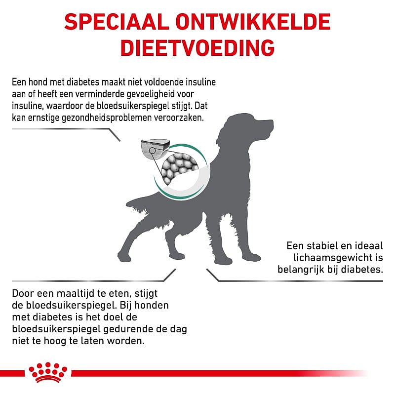 Royal Canin Diabetic Hond | 12 kg | 3946