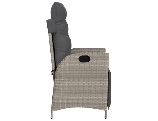 VIDAXL - Fauteuil Chaises inclinables de jardin lot de 2 avec repose-pied roti...