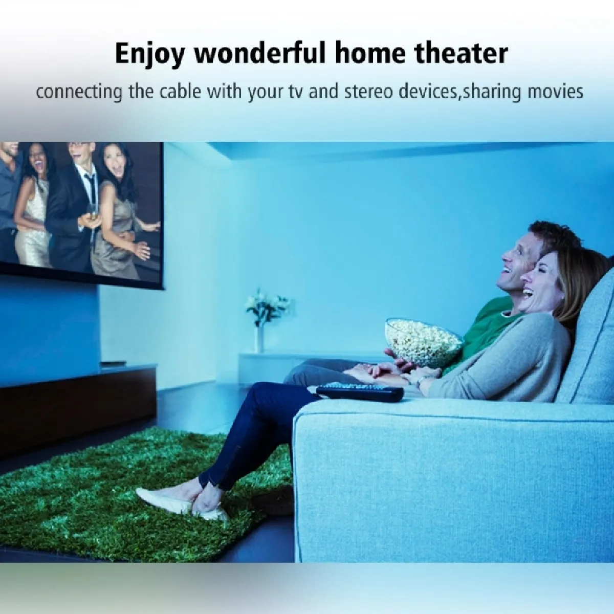 WEWOO Câble optique audio 2m M/M