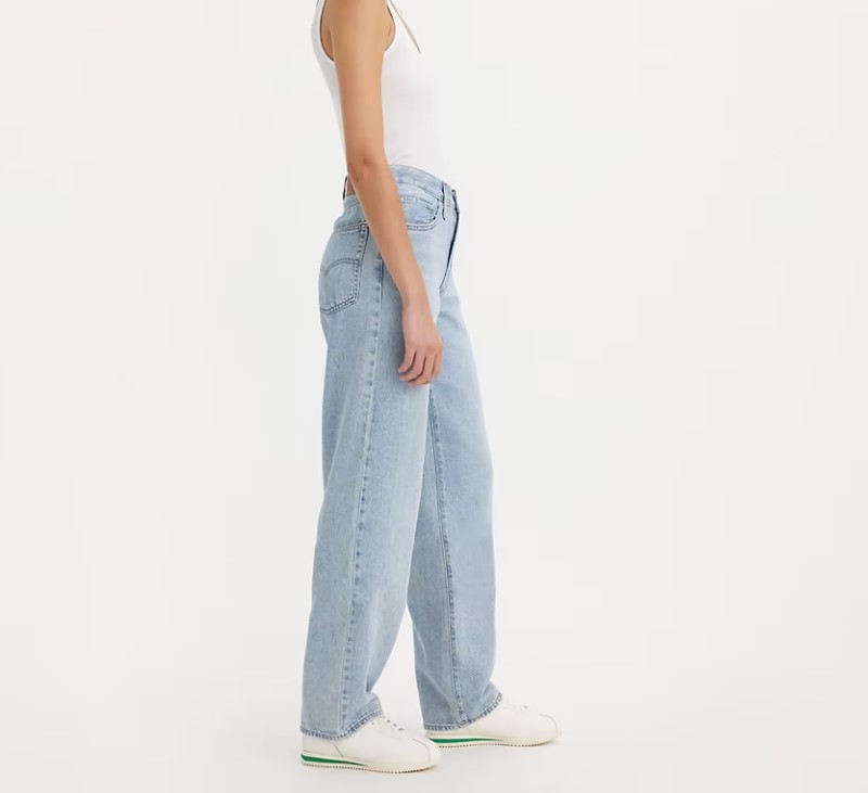 Levi's Skateboarding Baggy Dad Hold My Purse