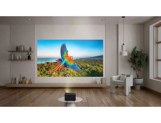 OPTOMA - Vidéoprojecteur Home Cinéma Photon Life PH31