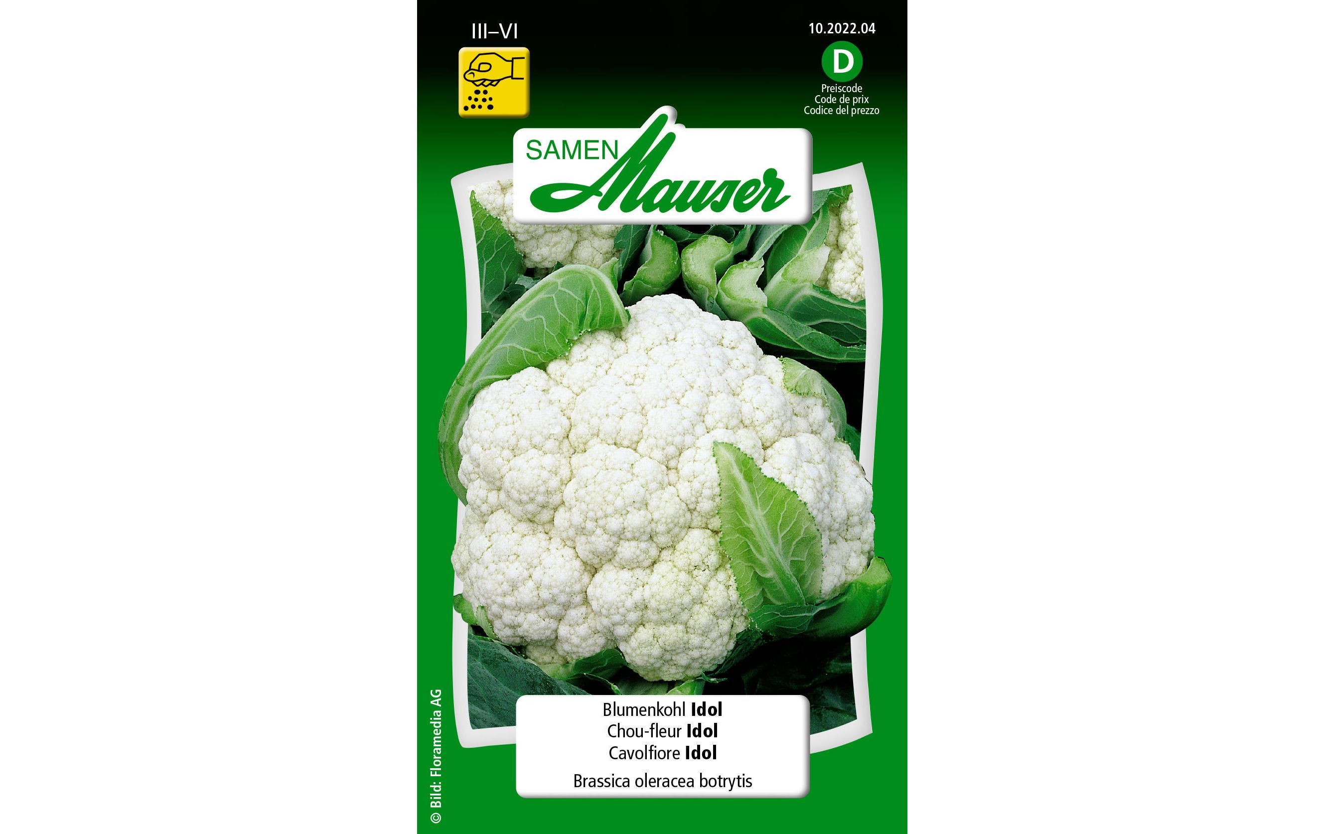 Samen Blumenkohl IdolGemüsesamen