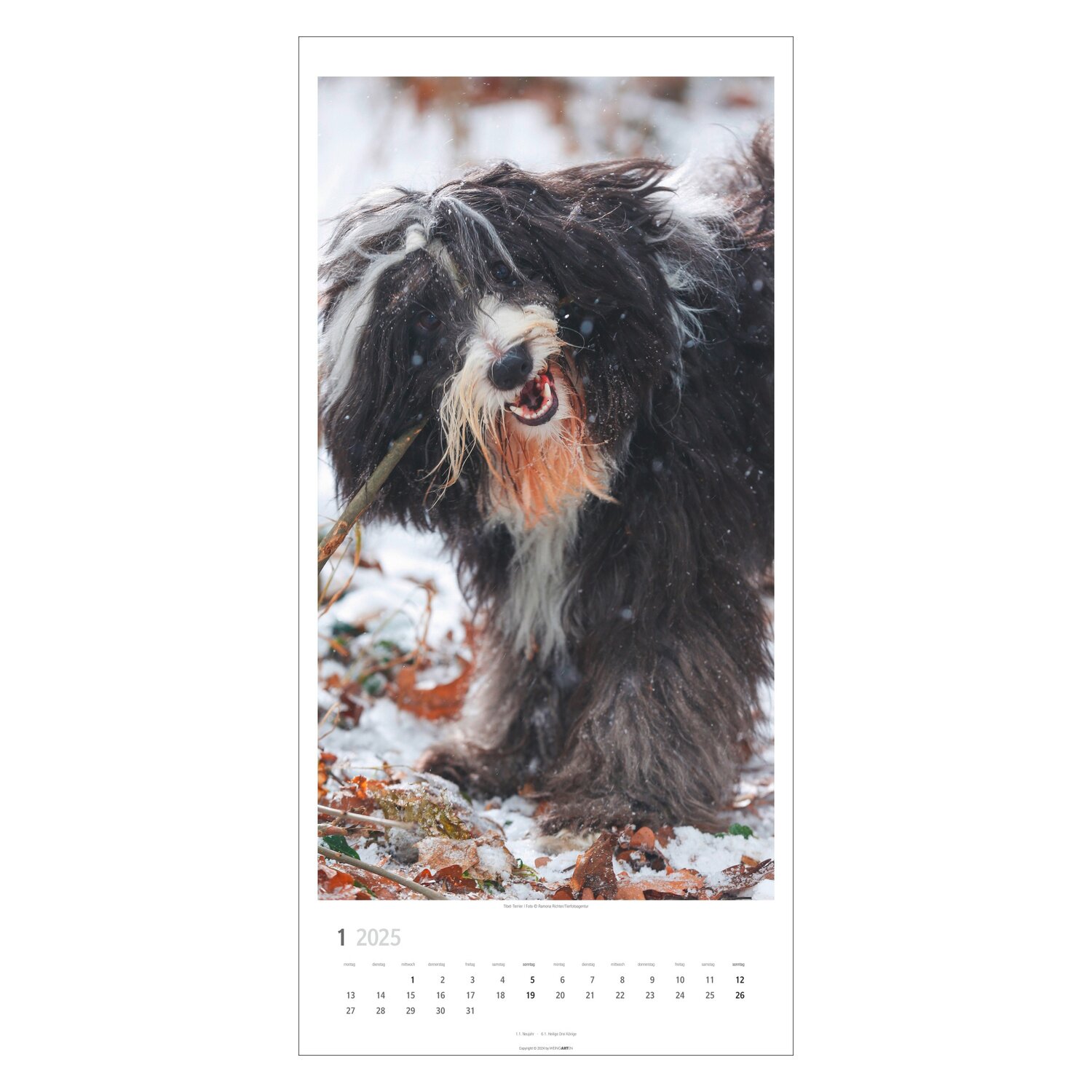 Kalender 2025 SITZ! PLATZ! BLEIB!  - 2025