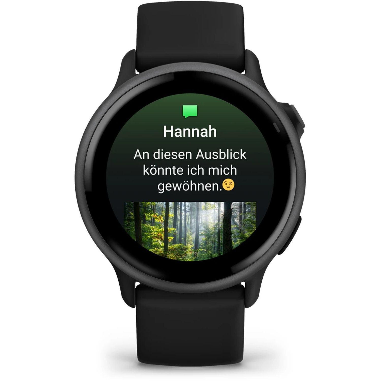 Garminvivoactive 6 GPS WW