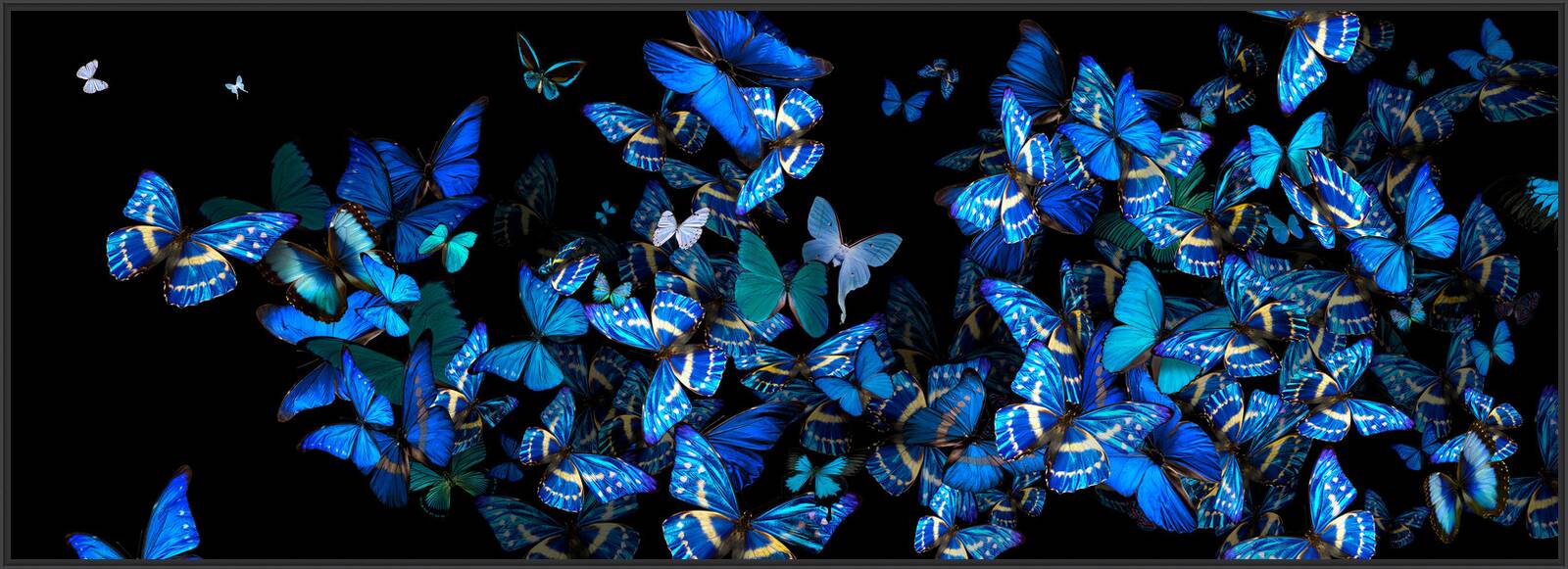 Blue Fellowship by Heiko Hellwig - Limited Edition. Edition of: 150. Signed.