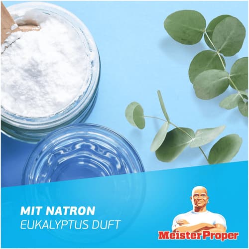 Meister Proper Allzweck-Bodenreiniger Natron - Eukalyptus-Duft
