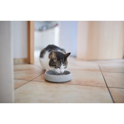 Katzennapf Granitkeramik