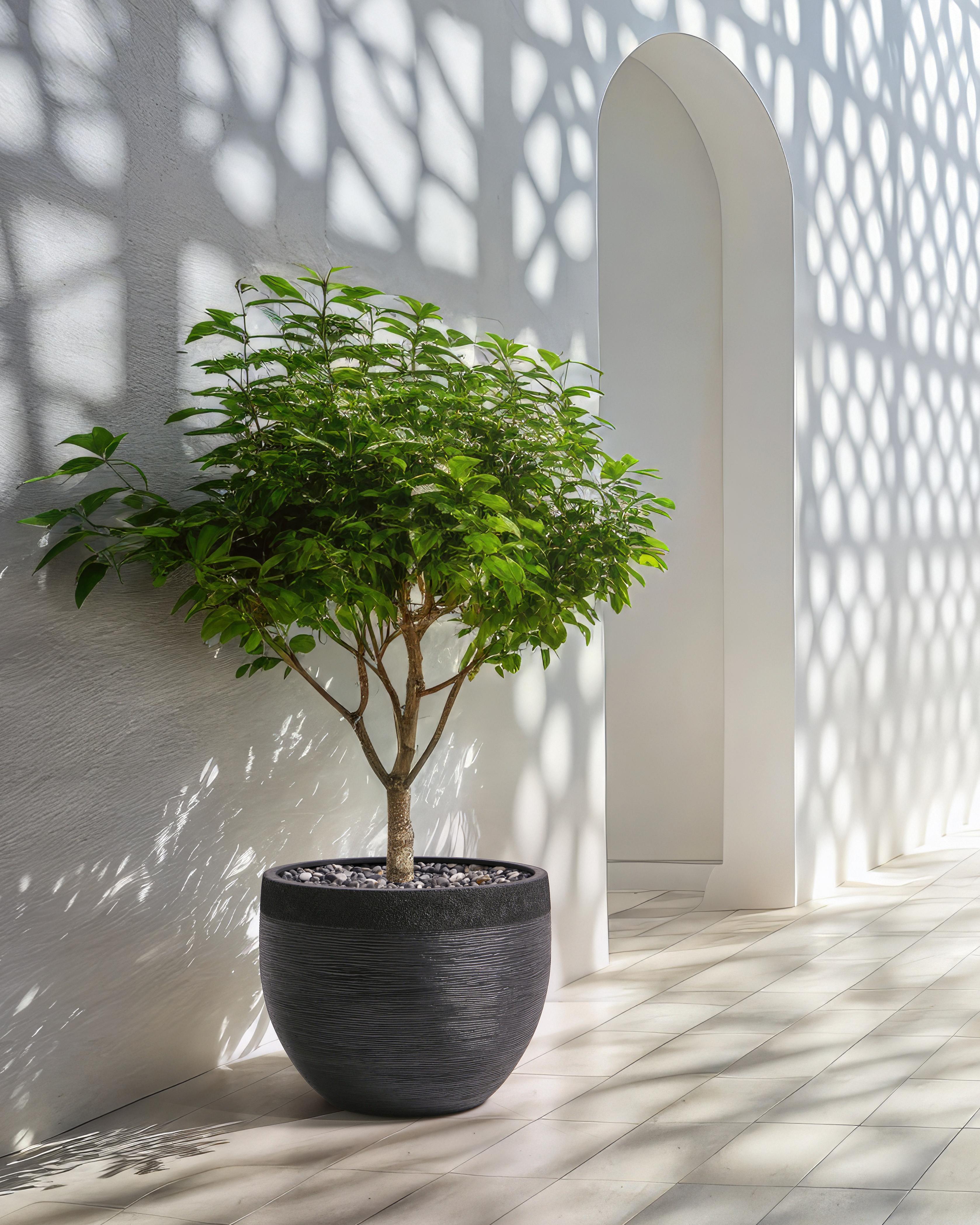 Bloempot ZAKROS 50 cm Zwart