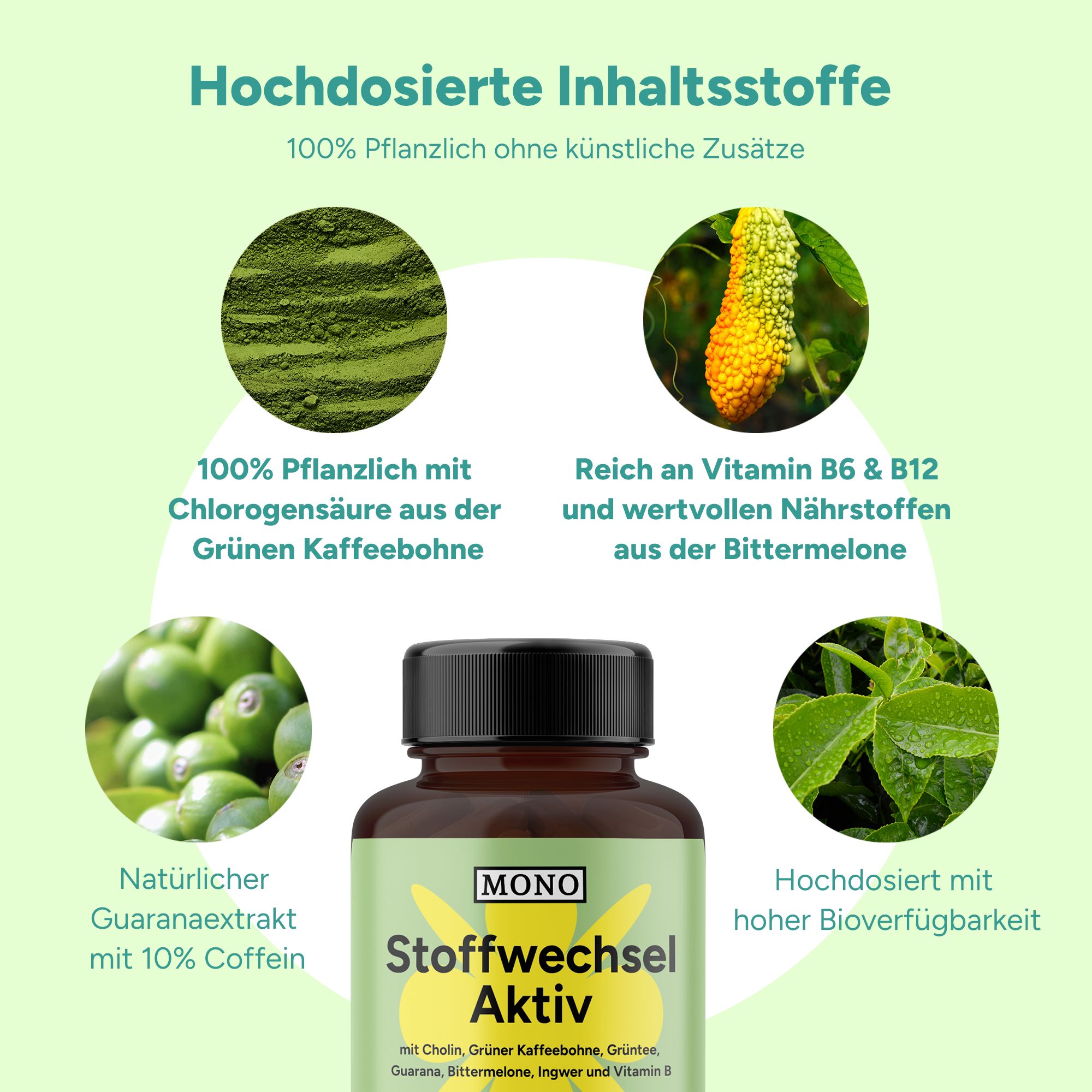 MONO Stoffwechsel Aktiv