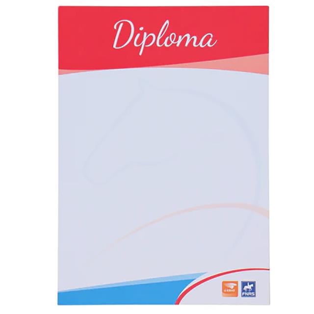 Blanco Diploma KNHS Ruiteropleiding Zilver