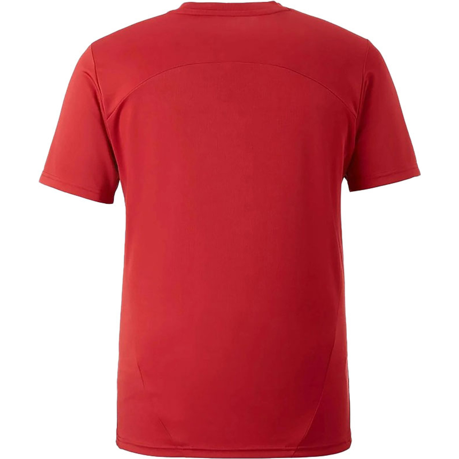 Puma Galatasaray Training Shirt 2024/2025