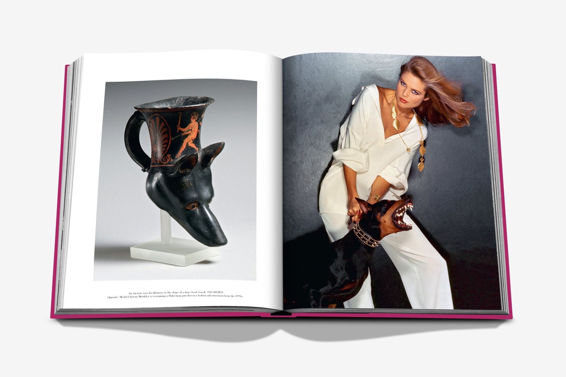 Assouline Chic Dogs