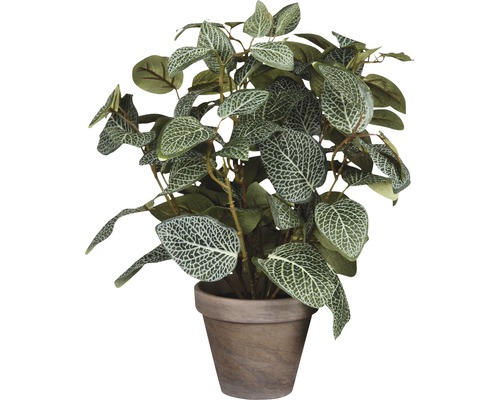 Kunstmozaïekplant Fittonia Ø 25 H 35 cm bruin