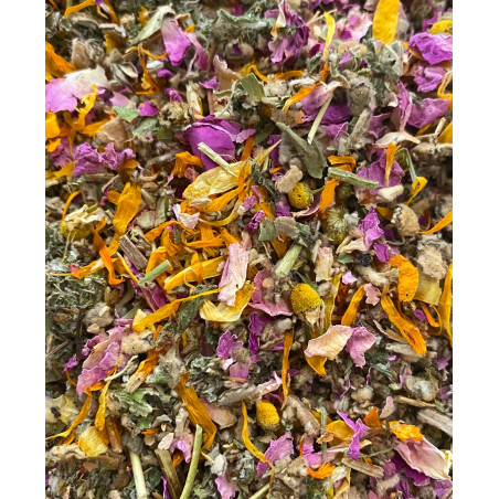 Equilibre Mélange de plantes Rêve