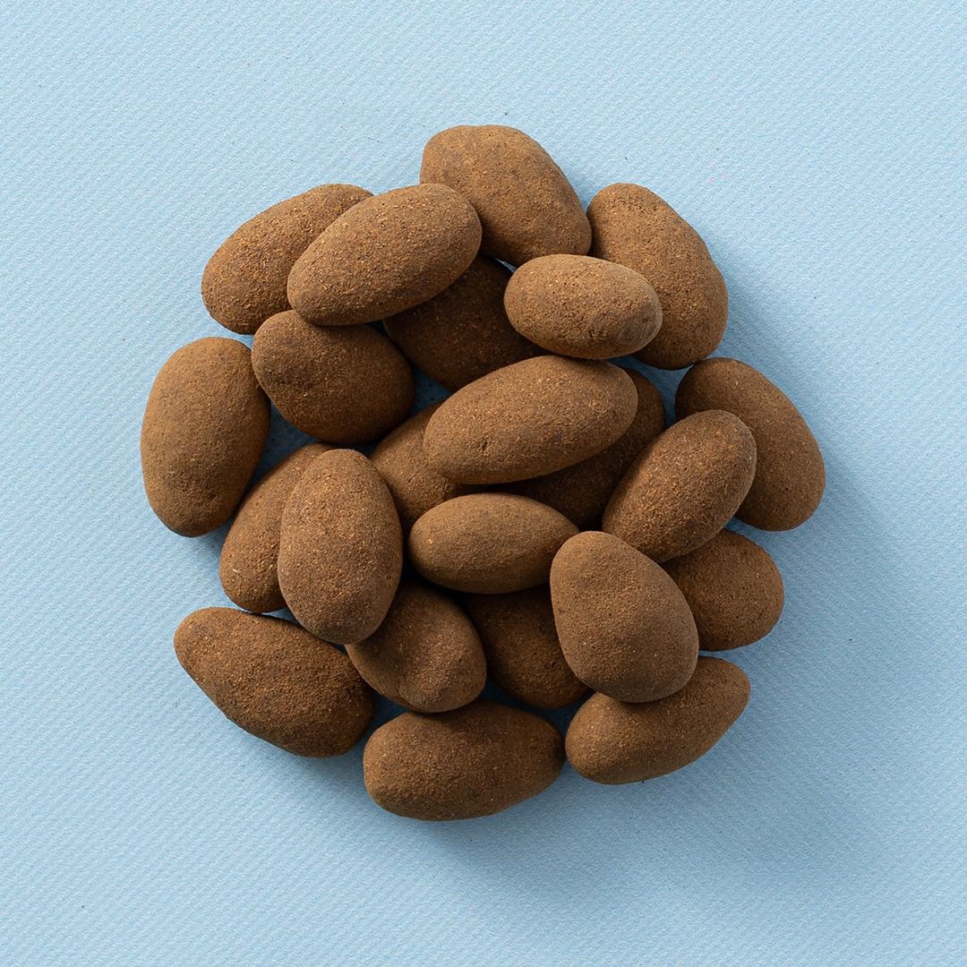 Chocolade kaneelamandelen